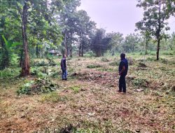 Kolaborasi KPLHI, IWO, dan Karang Taruna Campakasari Buka Lahan Tidur untuk Ketahanan Pangan dan Buper