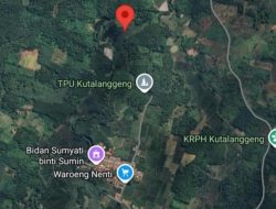 Gempa Guncang Jakarta dan Sekitarnya, BNPB dan BPBD Cek ke Lapangan
