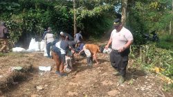 Polres Purwakarta Hijaukan Kecamatan Bojong dengan Jagung Hibrida