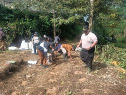 Polres Purwakarta Hijaukan Kecamatan Bojong dengan Jagung Hibrida